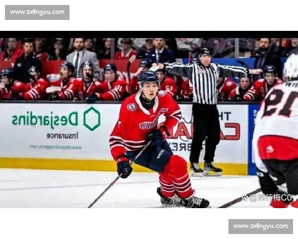 中国冰球里程碑：18 岁王浩西 NHL 第 33 顺位创亚洲纪录